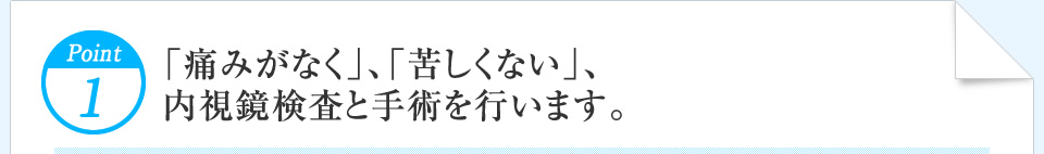 Point1 「痛みがなく」、「苦しくない」、内視鏡検査と手術を行います。